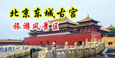 狂插瑜伽裤中国北京-东城古宫旅游风景区